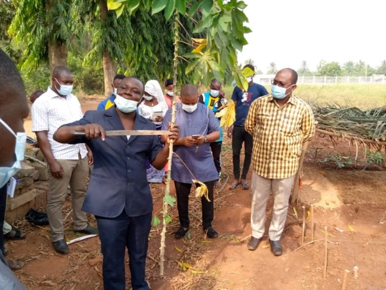 Appui à l’intensification de la production et à la transformation du